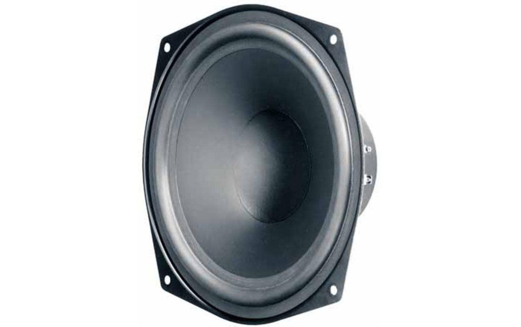 Visaton Haut-parleur de graves HiFi WS 17 E