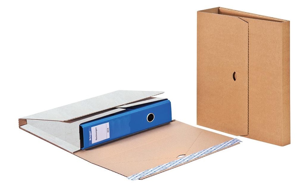 Brieger Carton d’expédition des dossiers 32 x 29 x 8 cm, 1 pièce