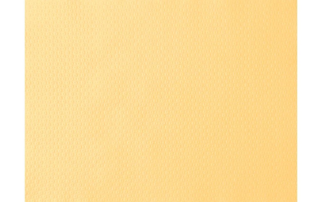 Duni Set de table 500 pièces, 30 cm x 40 cm, Crème