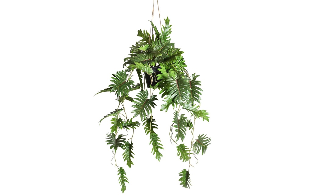 Botanic-Haus Plante artificielle Philodrendron en arbre suspendu 94 cm