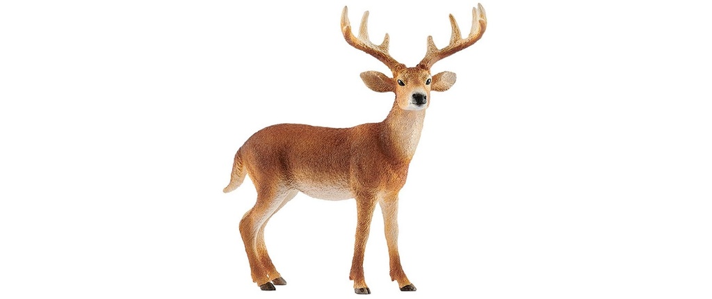 Schleich Figurine de jeu Wild Life Cerf de Virginie