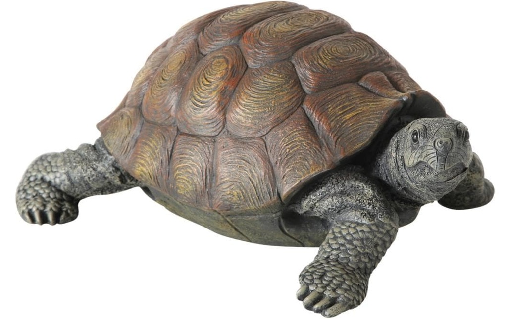 Boltze Objet à exposer Tortue Slomo 25 cm x 14 cm, marron/gris