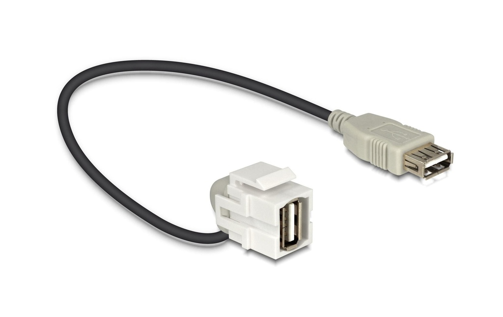 Delock Module Keystone USB2.0, A - A, (f-f) coudé à 110°, blanc