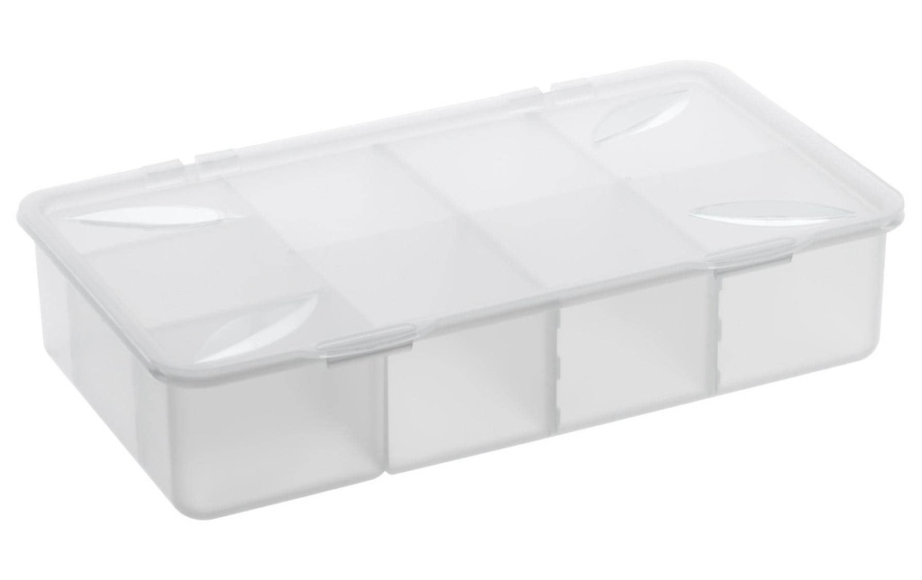 Rotho Boîte de rangement Snappy 3 l Transparent