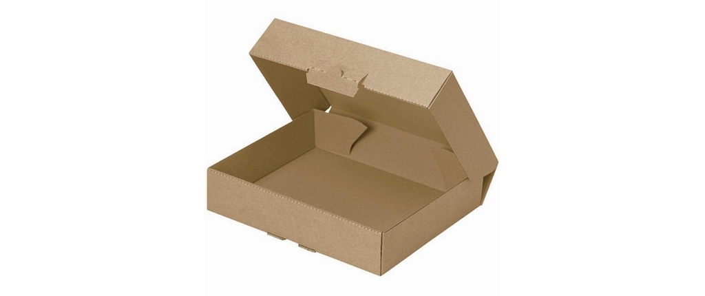 Brieger Carton d’expédition 30.1 x 21.3 x 4.5 cm, 1 pièce