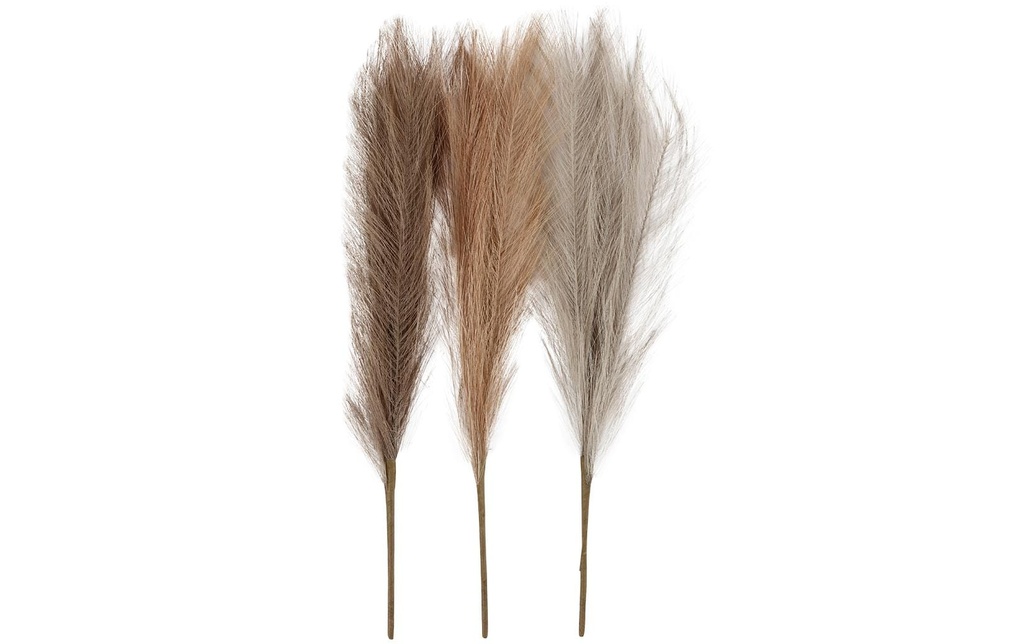 Creativ Company Fleurs séchées 50 cm 3 pièces, Beige, Marron, Gris