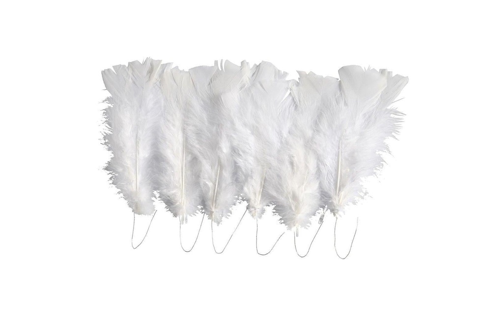 Creativ Company Plumes Blanc, 18 Pièce/s