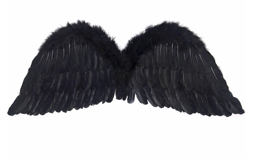 Partydeco Accessoires de fête Ailes d'ange 75 x 45 cm, noir