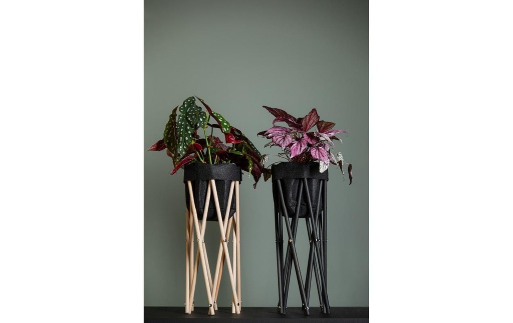 Neogard AG Trépied pour plantes Seda 50, Nature