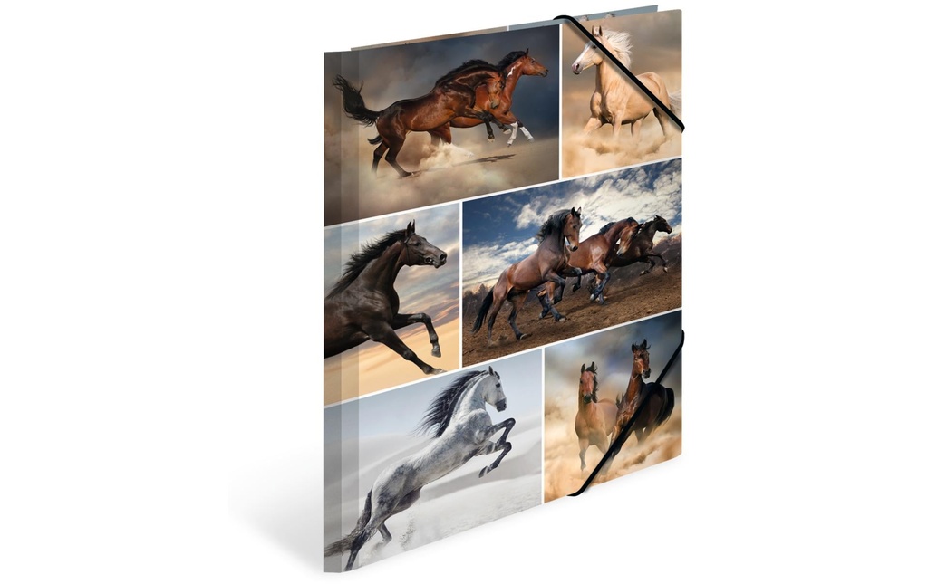 HERMA Dossier rangement A4 chevaux
