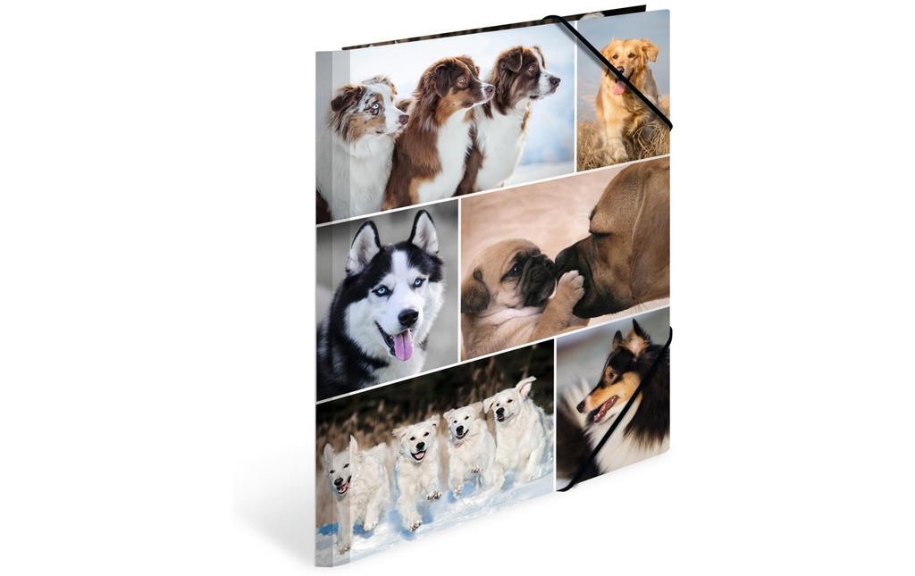 HERMA Dossier rang. A4 chiens