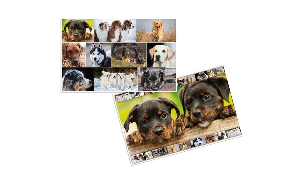 HERMA Sous-main chiens