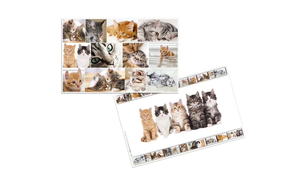 HERMA Sous-main chats