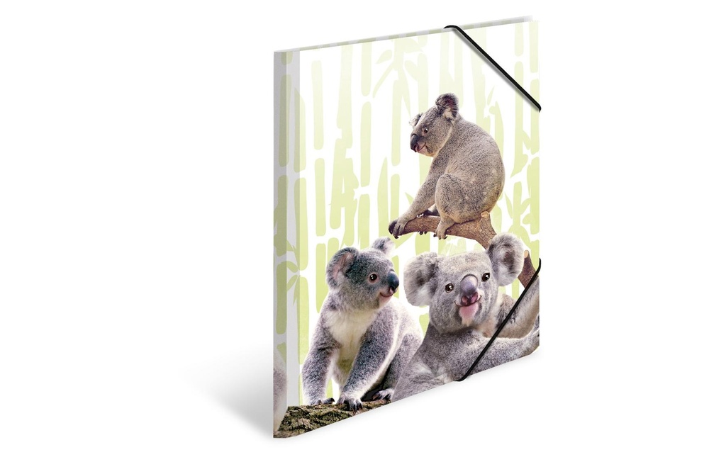 HERMA dossier élast.A4 PP koala
