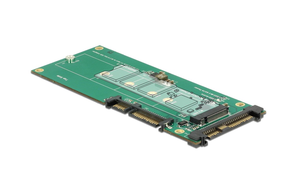 Delock Platine adaptatrice M.2 NVMe – U.2/SATA
