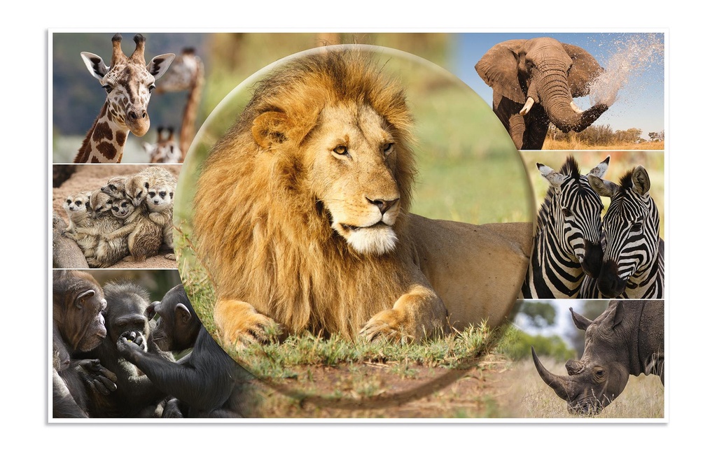 HERMA Sous-main Les animaux d'Afrique 55 x 35 cm