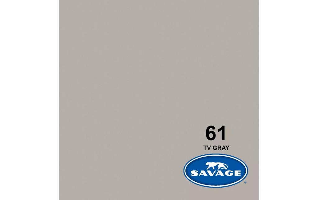 Savage Fond Papier 2.72 x 11m TV Gray