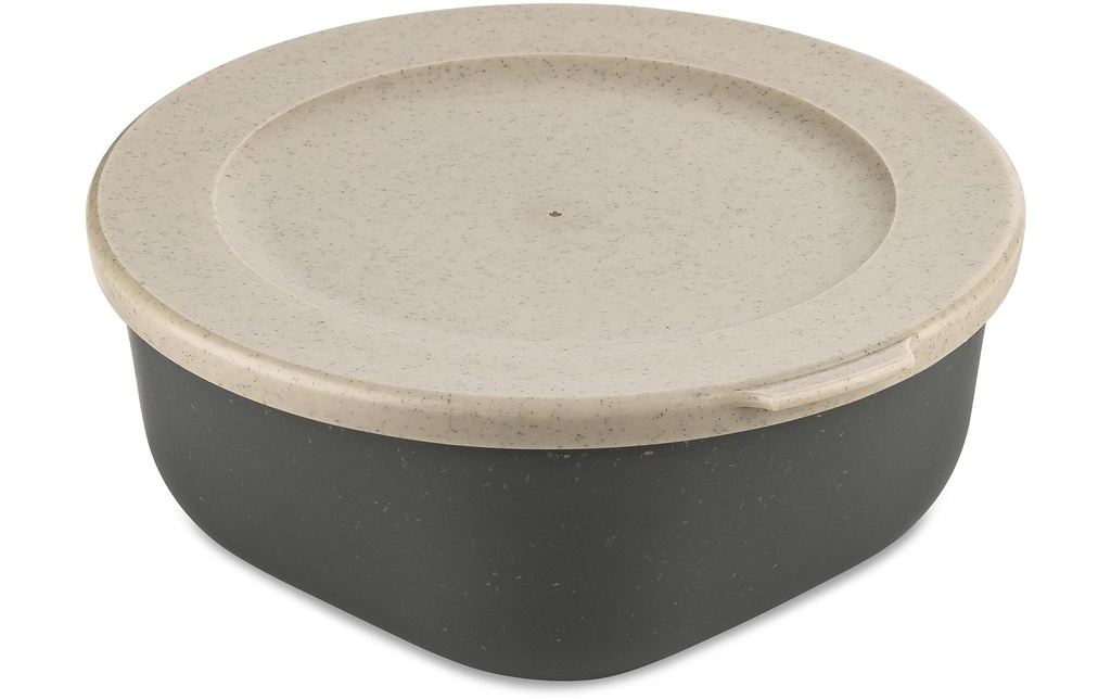 Koziol Boîte à provisions Connect 0.7 l, Gris