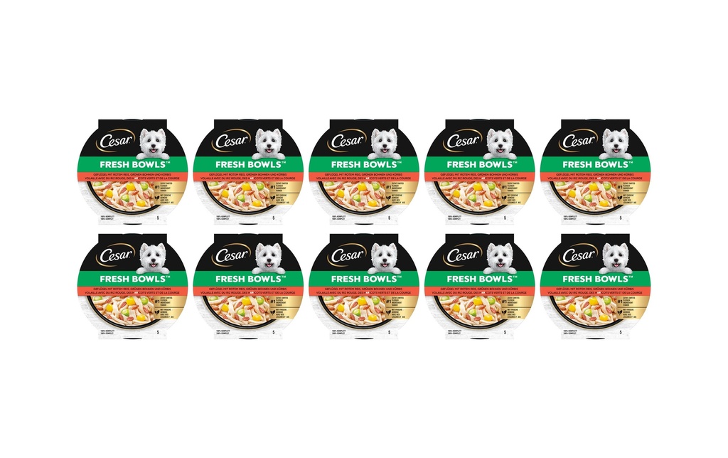 Cesar Alimentation humide Fresh Bowls Poulet, carottes 10 x 85 g