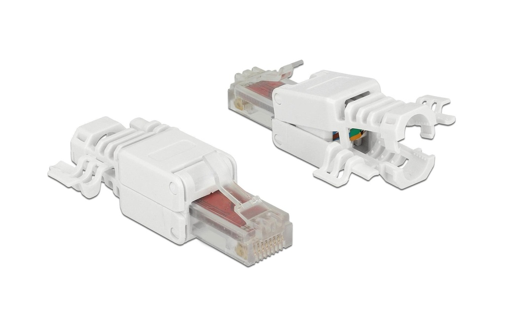 Delock Connecteur RJ45 Cat.6 UTP 2 Pièce/s, Blanc