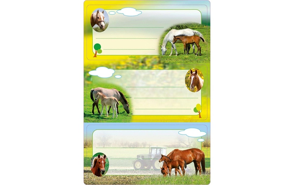 Herma Stickers Étiquettes scolaires Pferde