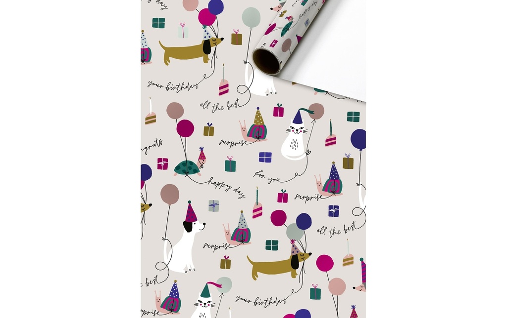 Stewo Papier cadeau Murphy 70 cm × 1.5 m, 76 g/m 1 Pièce/s, Beige