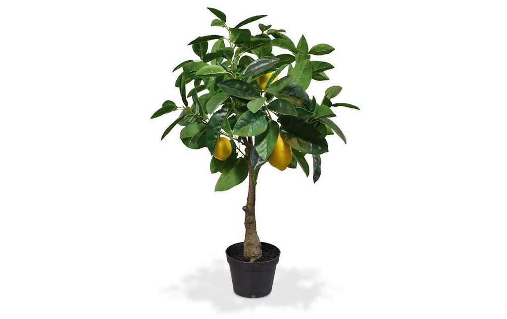 Botanic-Haus Plante artificielle Lemon Tree, 70 cm