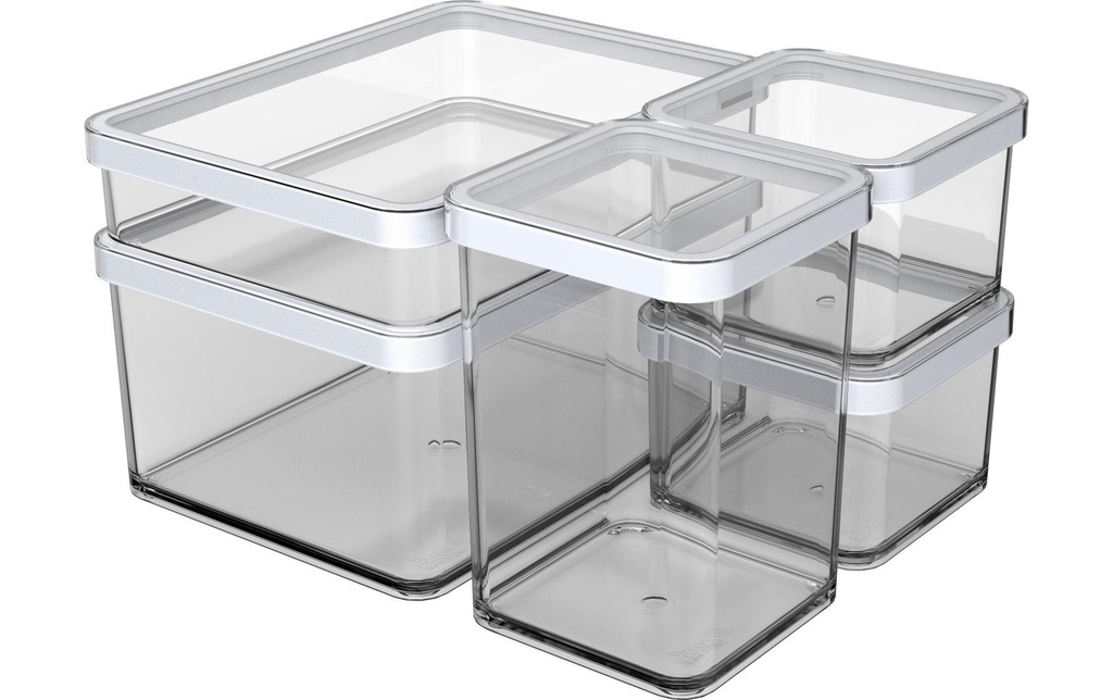 Rotho Boîte à provisions Loft 5 pièces, 5.25 l, Transparent/Blanc
