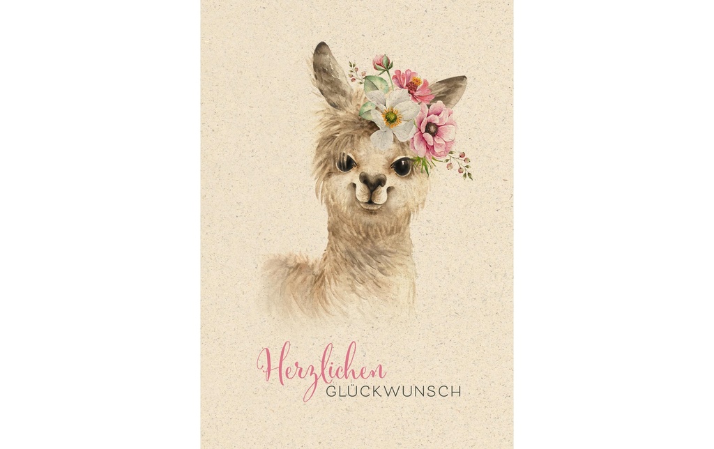 Natur Verlag Carte de félicitations Lama 17.5 x 12.2 cm