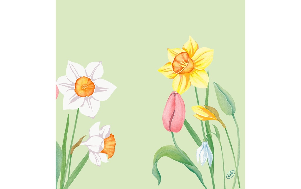 Duni Serviettes en papier Spring Melody 40 cm x 40 cm, 50 Pièce/s