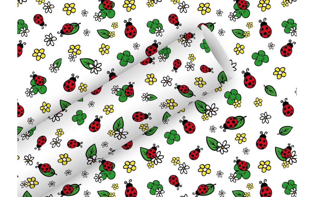 Braun + Company Papier cadeau So lucky 2 m x 70 cm