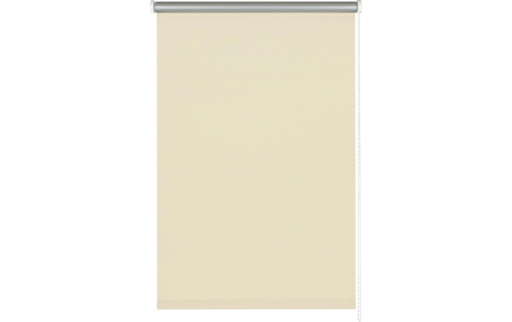Gardinia Store Thermo économe en énergie 122 x 160 cm, crème