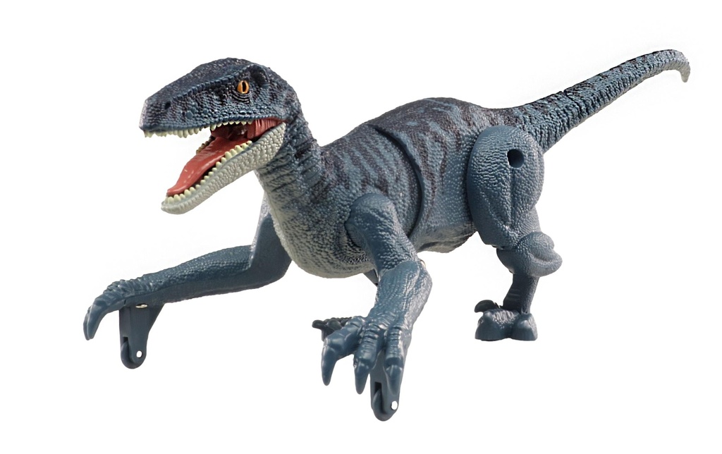 Amewi Dinosaure RC Velociraptor Bleu-gris, RTR