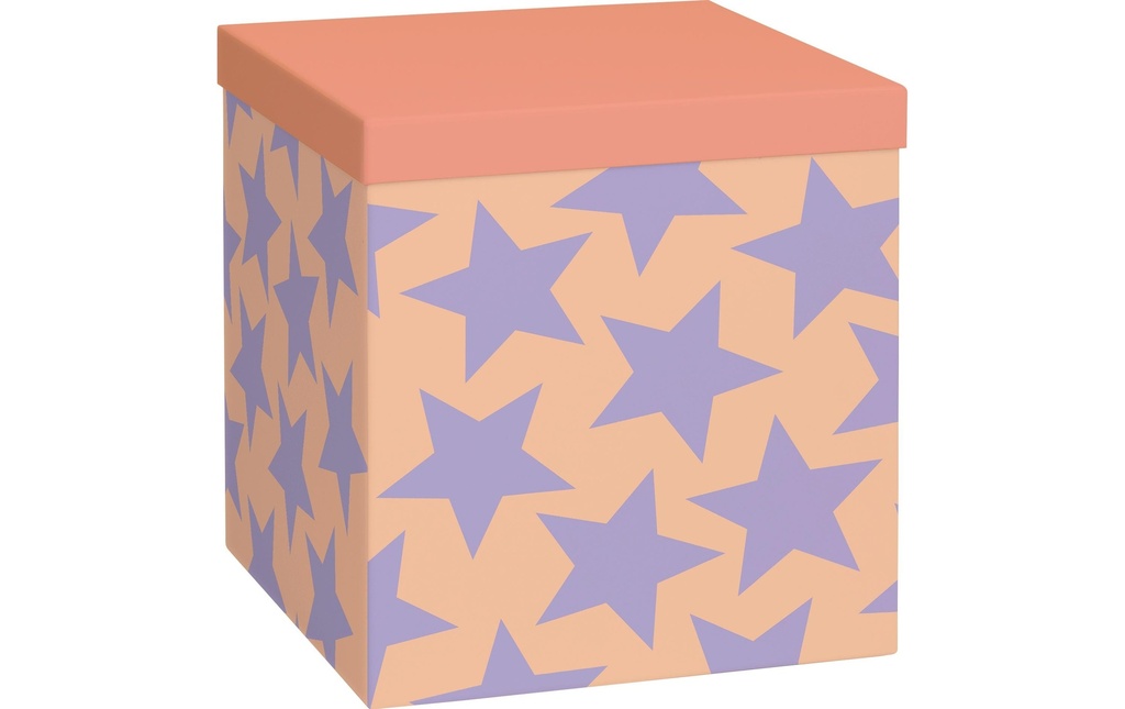 Stewo Carton cadeau Giada 23 x 23 x 24 cm