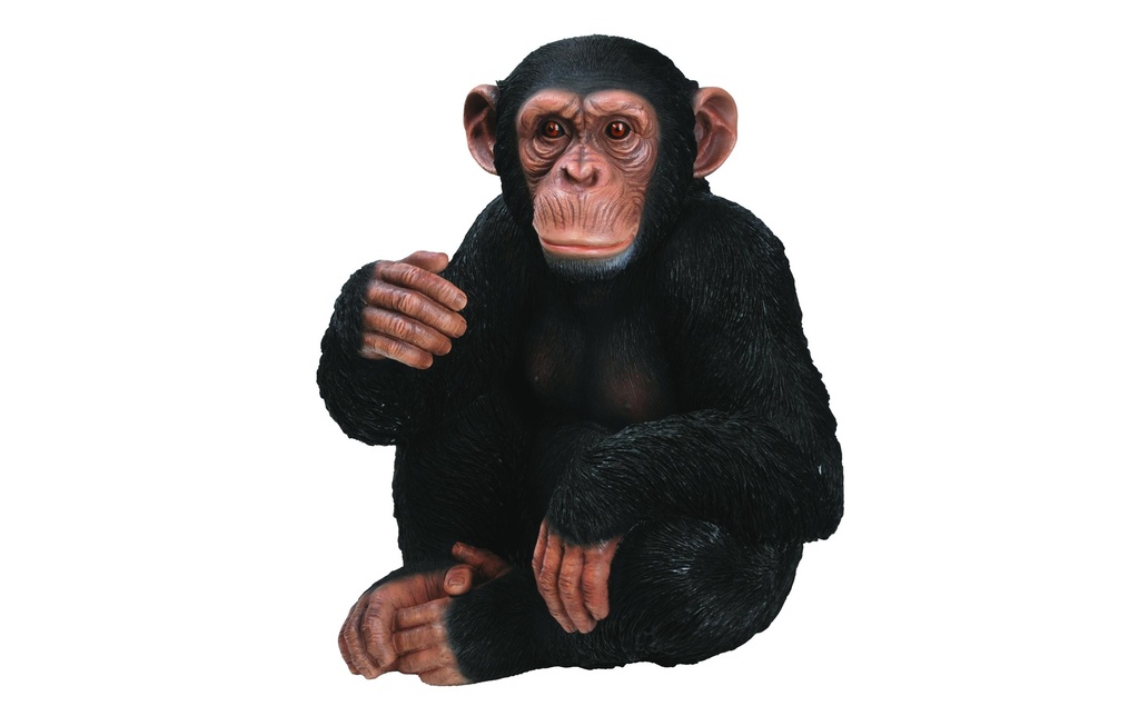 Vivid Arts Figure décorative Chimpanzé assis