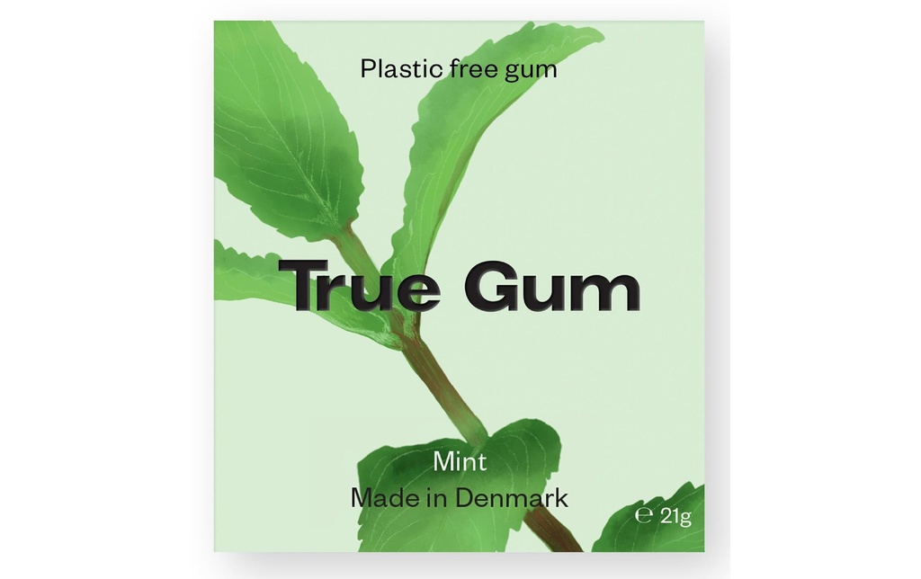 True Gum Chewing-gum menthe 21 g