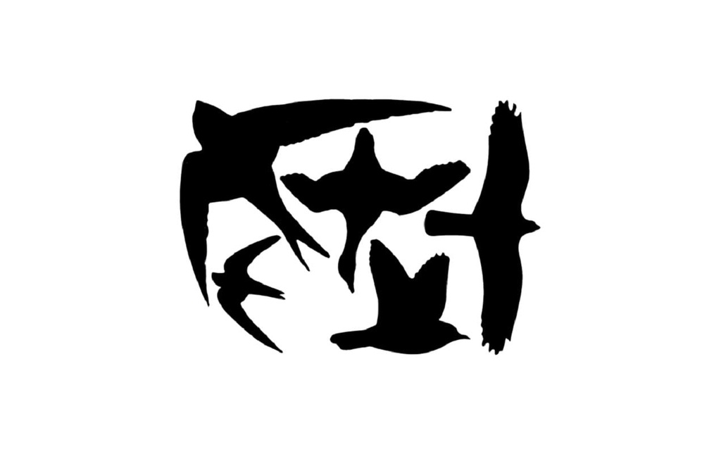 Esschert Design Film de fenêtre Silhouettes d'oiseaux 23 x 33 cm