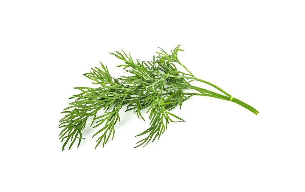 Click and Grow Semence fenouil