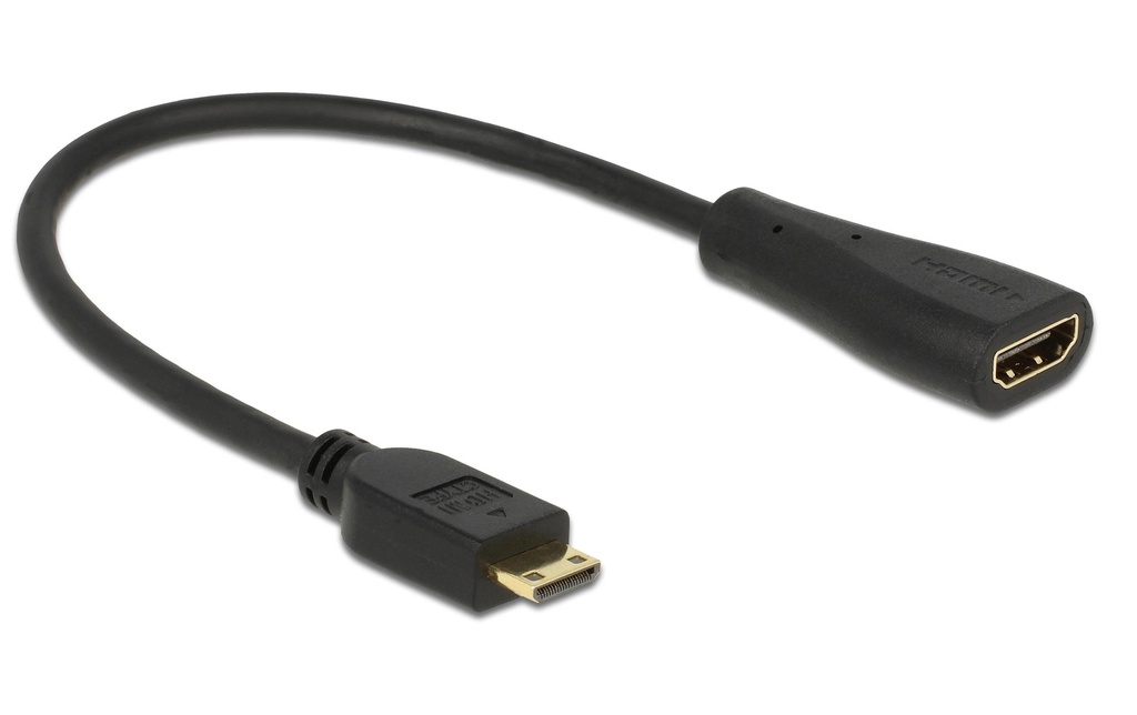 Delock Câble adaptateur Mini-HDMI (HDMI-C) - HDMI