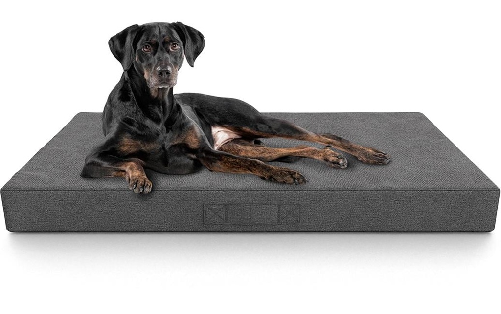 Knuffelwuff Tapis orthopédique pour chiens incontinents Lenie XL, gris
