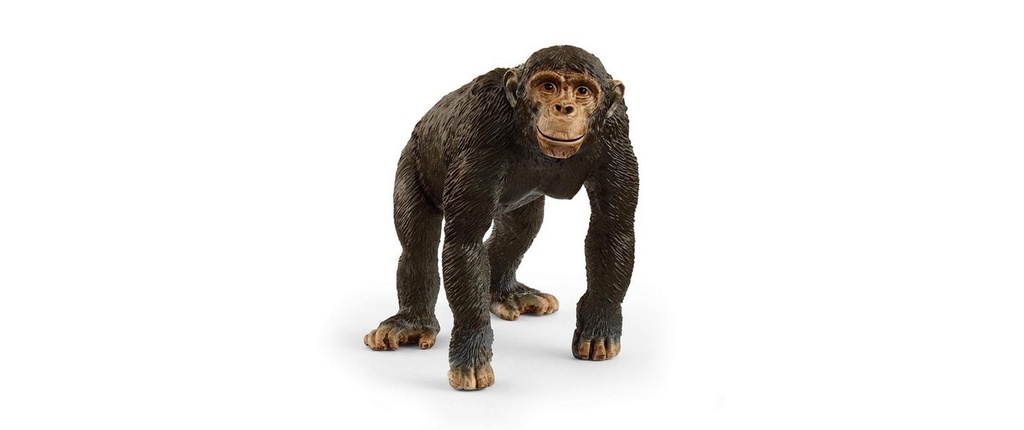 Schleich Figurine de jeu Wild Life Chimpanzé