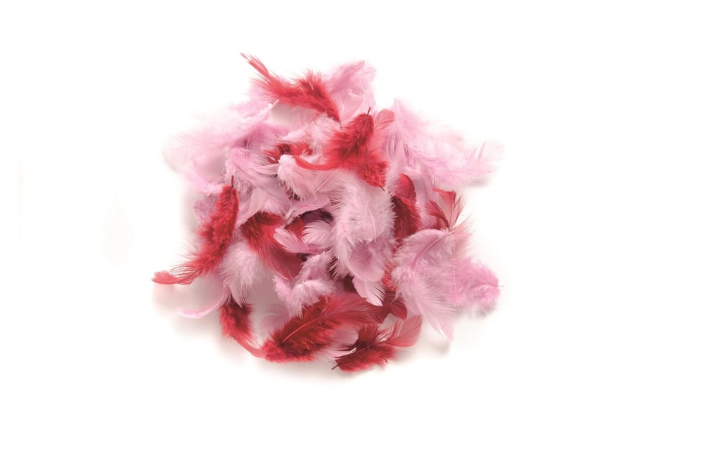 Glorex Plumes Deco Rose