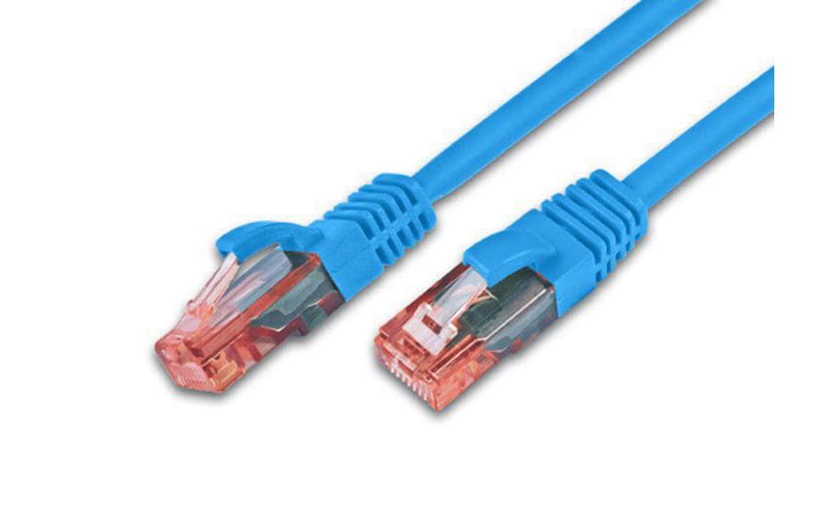 Wirewin Câble patch RJ-45 - RJ-45, Cat 6, UTP, 0.5 m, Bleu