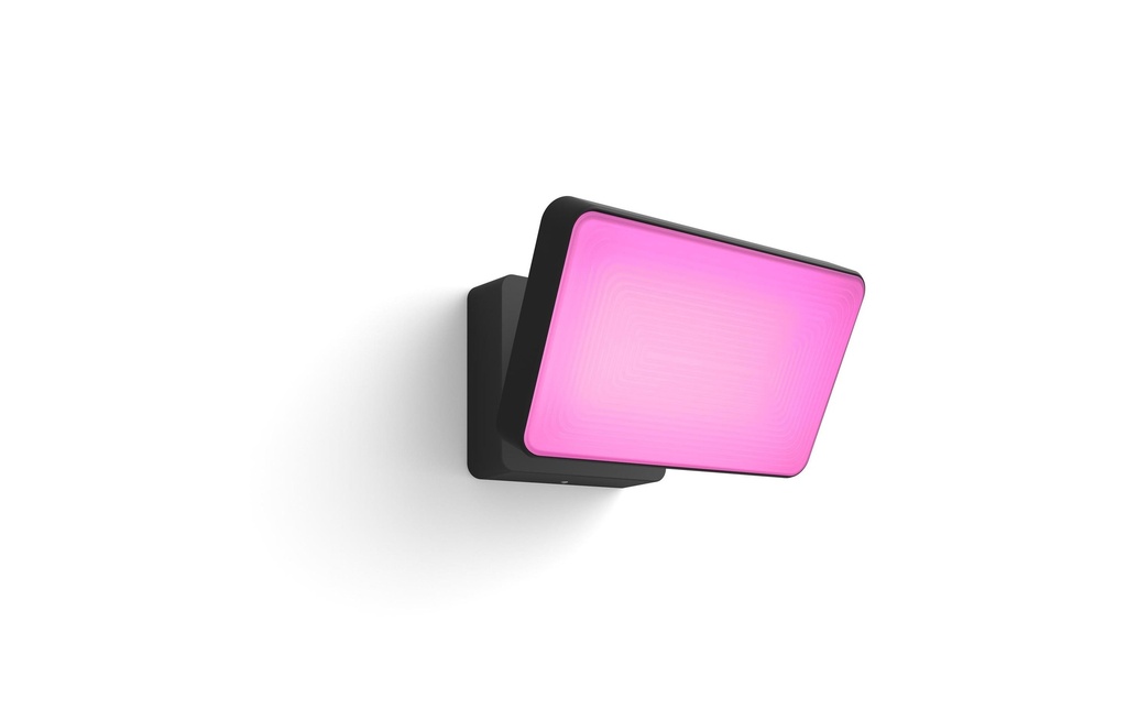 Philips Hue White & Color Ambiance Outdoor Discover Projecteur Noir