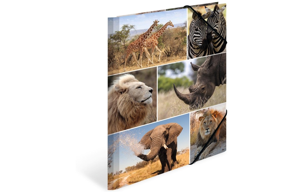 HERMA Portfolio à ruban élastique A4 Afrique, carton, avec impression intérieure