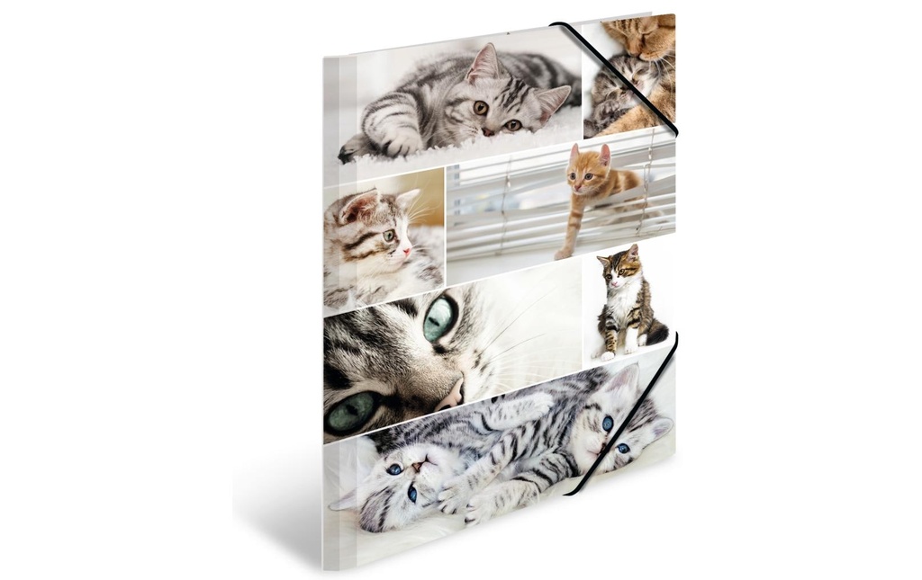 HERMA Portfolio à ruban élastique A3 Chats, carton, avec impression intérieure