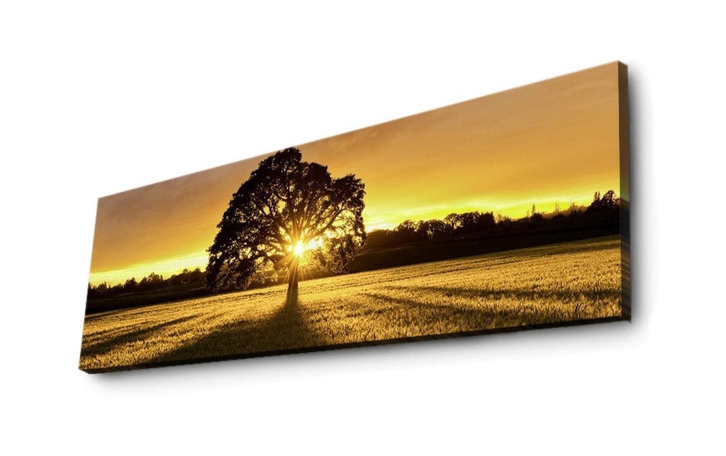 Wallxpert Photo Tree 30 x 90 cm, MDF