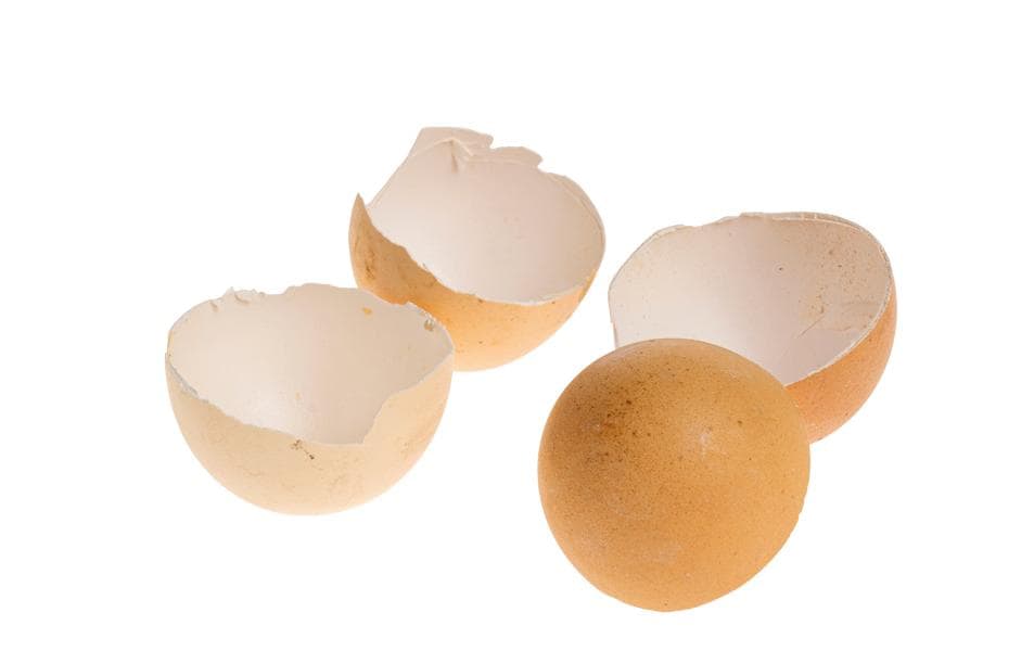Opiflor Bol à œufs de Pâques 200 g, brun naturel