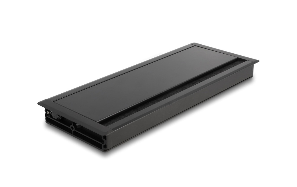 Delock Cadre de montage pour table avec brosse 300x120x28mm, Noir