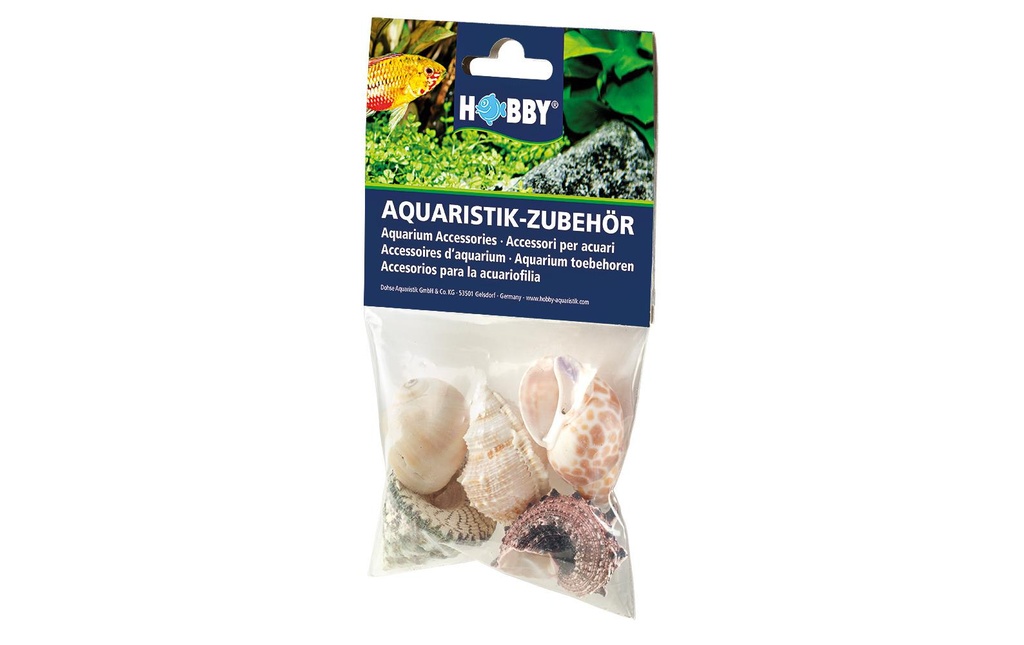 Hobby Aquaristik Décoration Sea Shells Set, L, 5 pièces